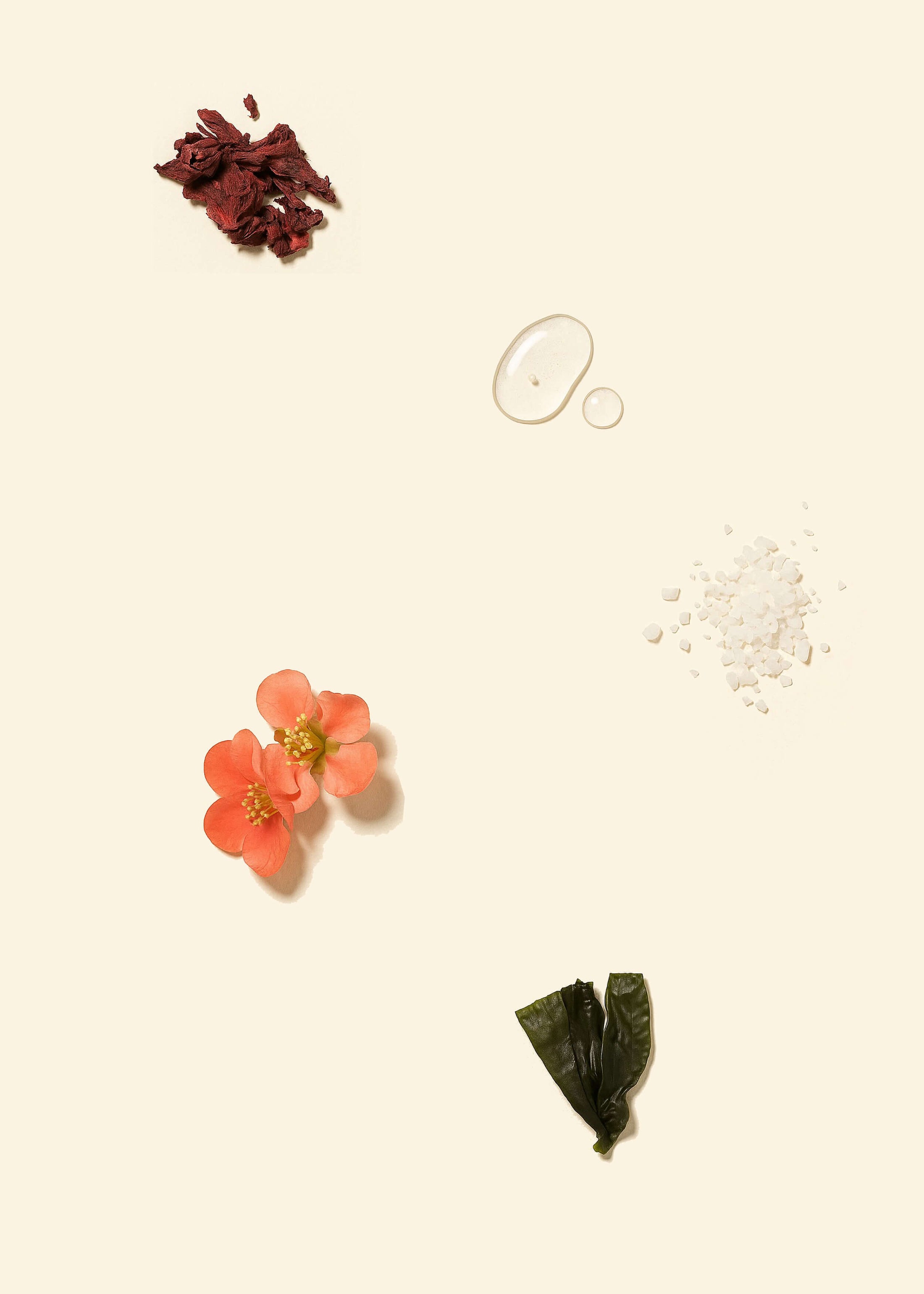Gloss moisturizer ingredients against a neutral background.