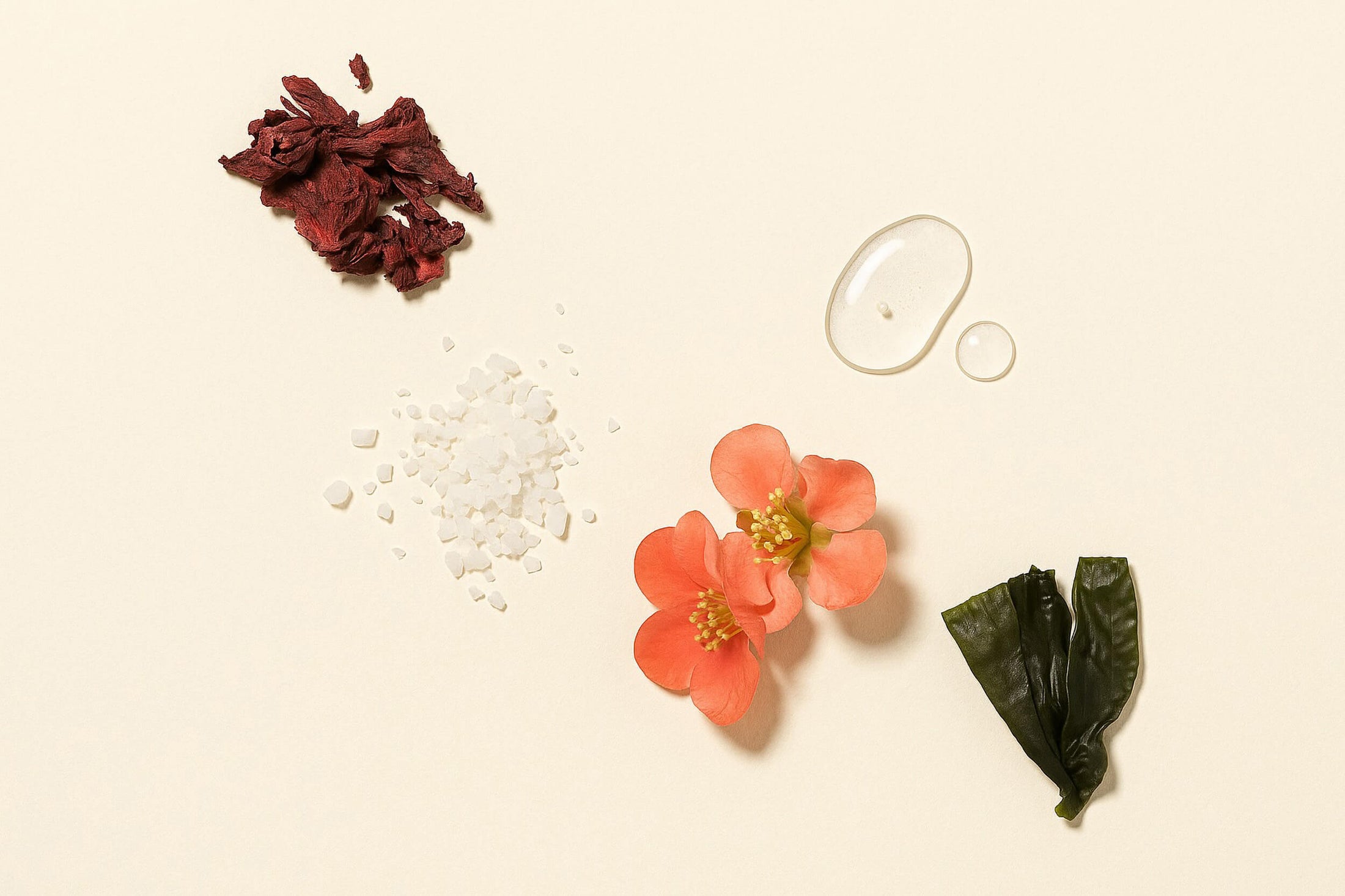 Gloss moisturizer ingredients against a neutral background.