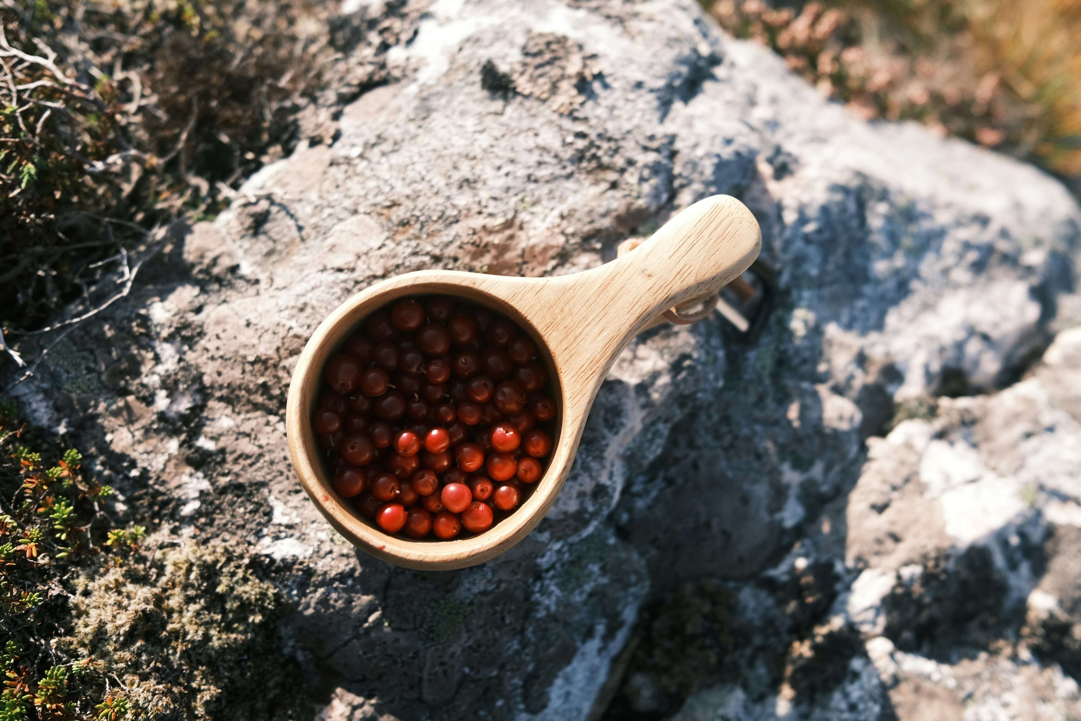 Lingonberries in a wooden bowl on top of a boulder.